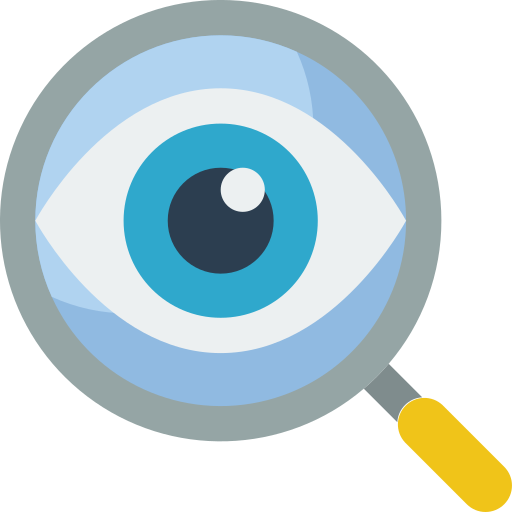 Privacy Audit Icon
